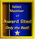 4.0 Website Award Winner from Award Sites!