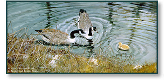 Carolyn Blish - The Lesson