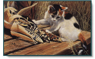 Amy Brackenbury - Cat in the Maize