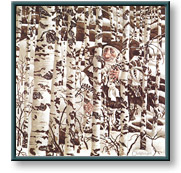 James Christensen art print: A Christensen Character Cleverly Camouflaged in a Doolittle Landscape