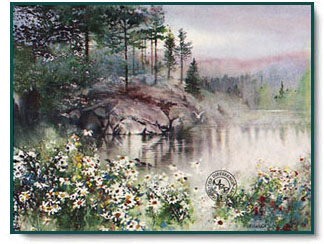 Nita Engle - Daisy Bay