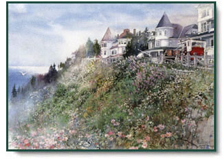 Nita Engle - Island Spring