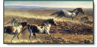 Nancy Glazier - Unbridled Spirit