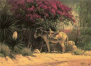 Flowers of Ixtapan by G. Harvey