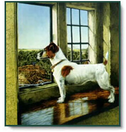 Jessica Holm - I Spy Summer