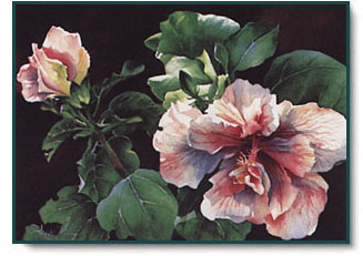 Arleta Pech - Hibiscus Showoff by Arleta Pech