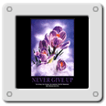 Never Give Up - Crocus Flower