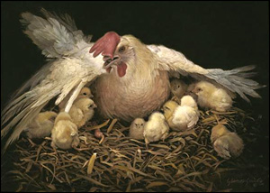 I Would Gather Thee as a Hen Gathereth Her Chicks by Liz Lemon Swindle