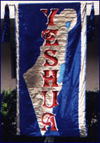 Yeshua Over Israel (with sequins)