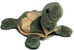 Armor the Turtle